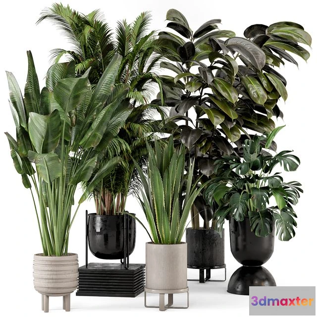 1545926 - Indoor Plants in Ferm Living Bau Pot Large - Set 572 3D Max