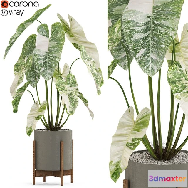 1546133 - Plants collection 524 3D Max