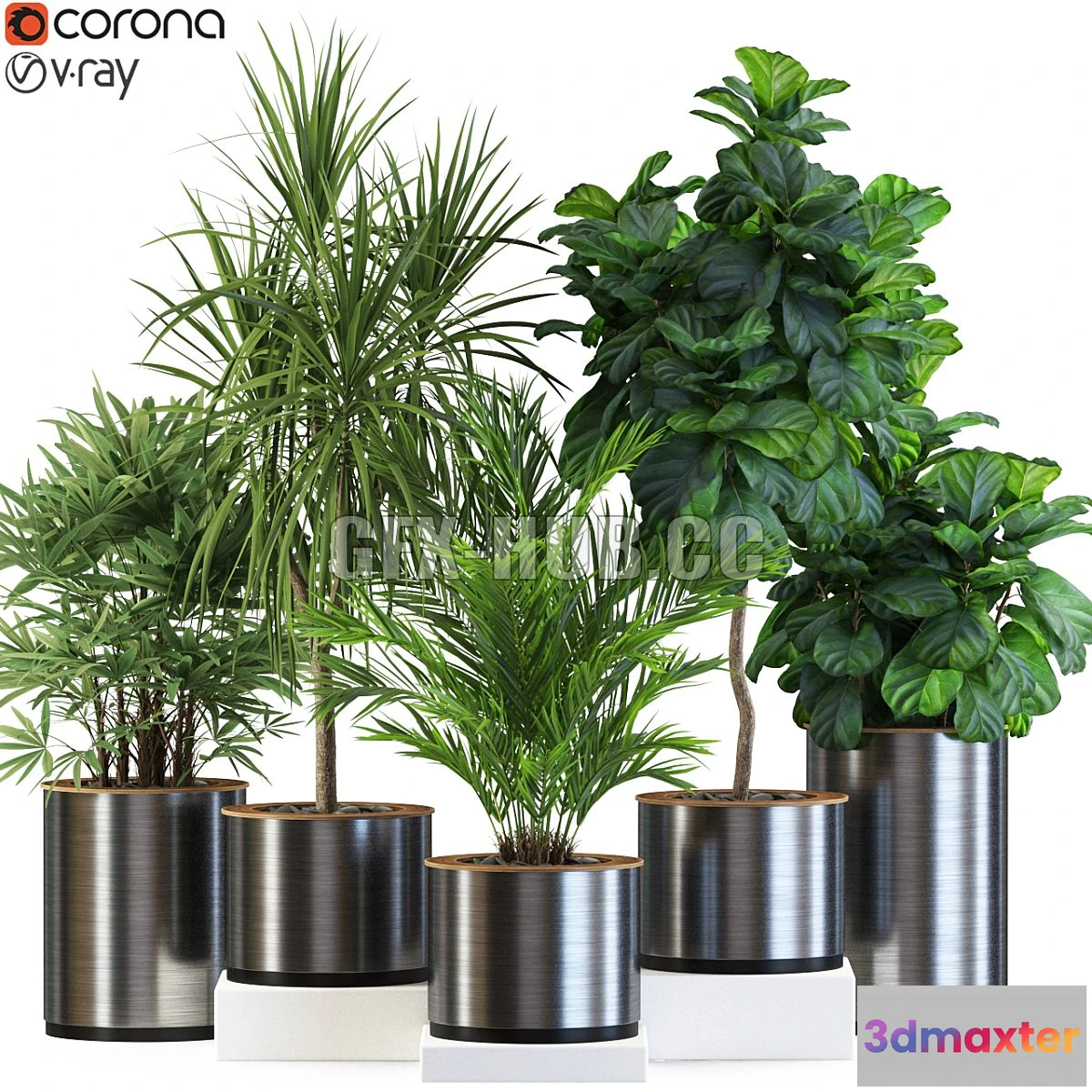 1546749 - Plants collection 550 3D Max