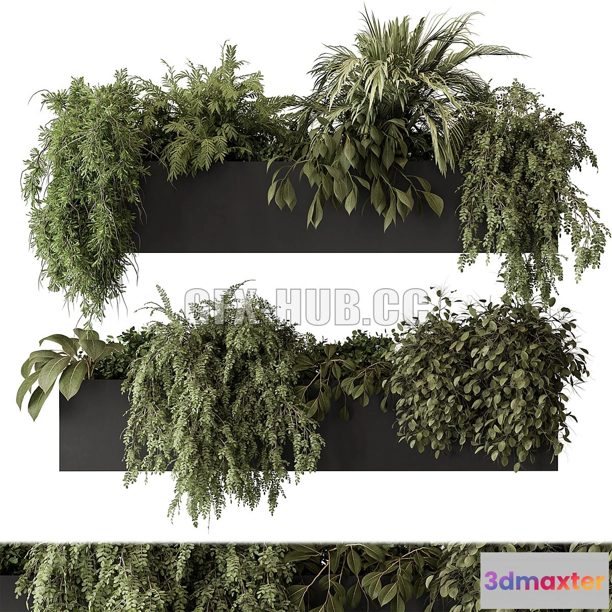 1546913 - indoor Plant Set 297 - Hanging Plants 3D Max