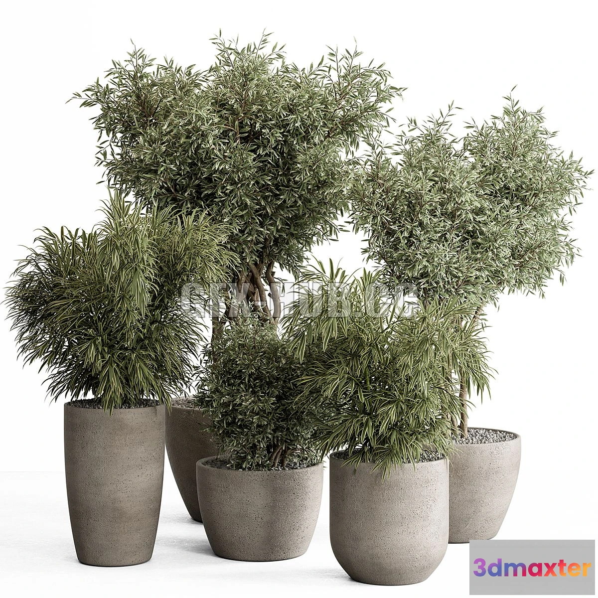 1546915 - indoor Plant Set 417 - Tree and Bush 3D Max
