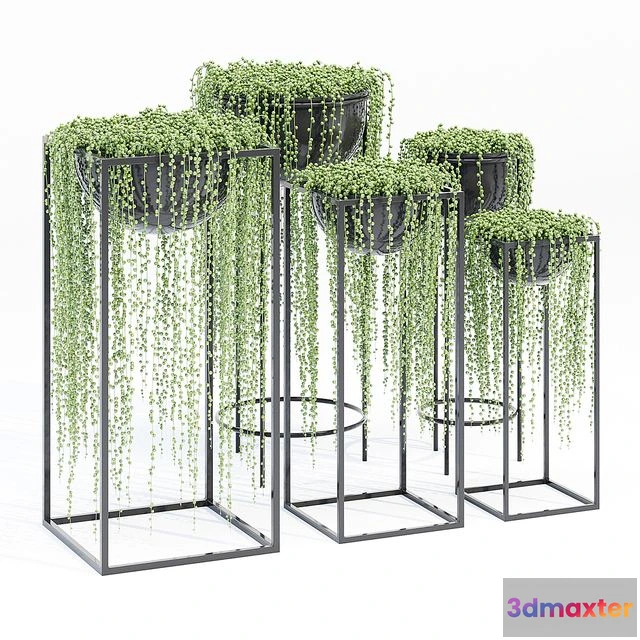 1547441 - Matson tiara 3D Max