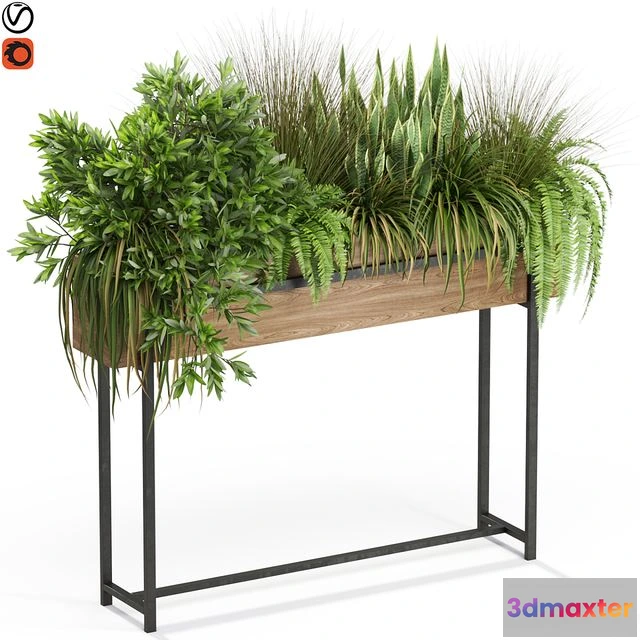 1547530 - Plants collection 587 3D Max