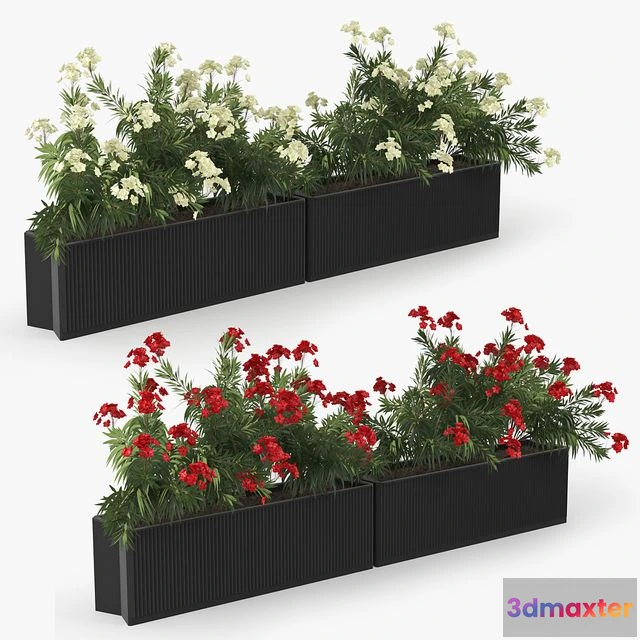 1549983 - Flowerbed Nerium 3D Max