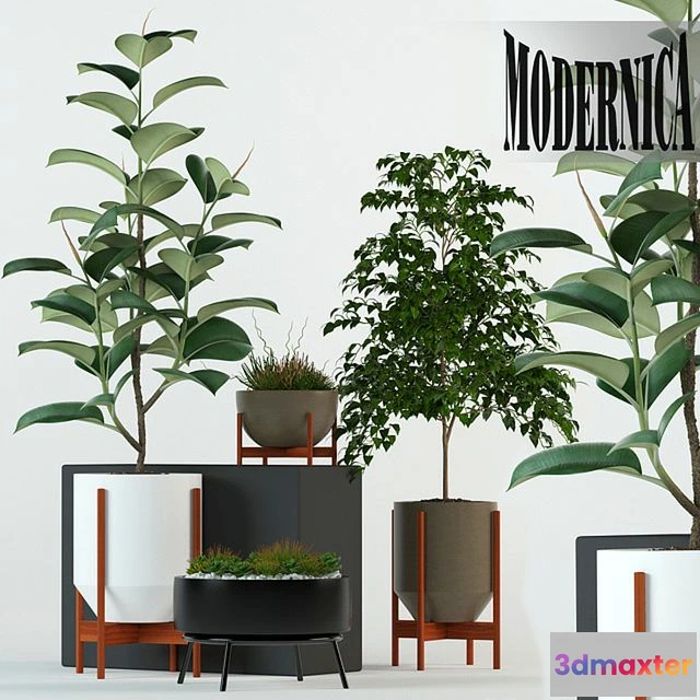 1550157 - Plants collection 78 Modernica pots 3D Max
