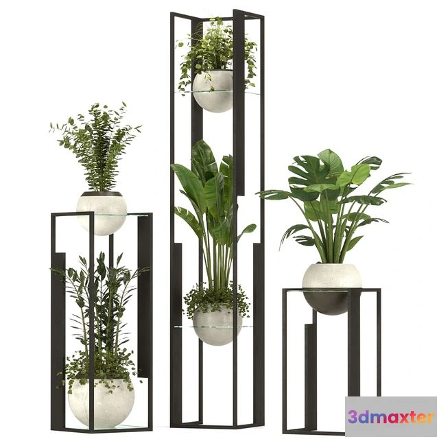 1550925 - Collection Indoor Plants Nim12 3D Max