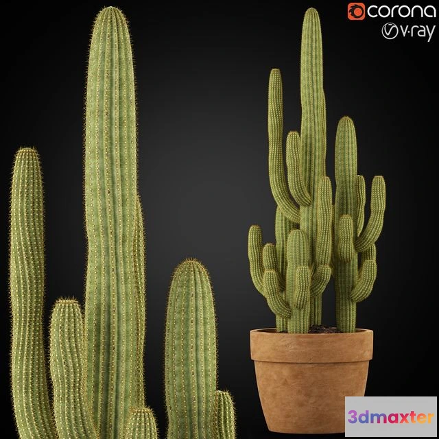 1552221 - Plants collection 254 3D Max