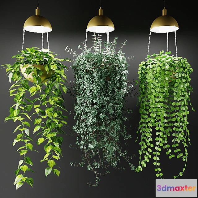 1552991 - Ampel plants in a cache-pot with lamps 3D Max