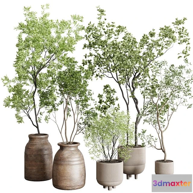 1553145 - collection indoor plant 227 3D Max