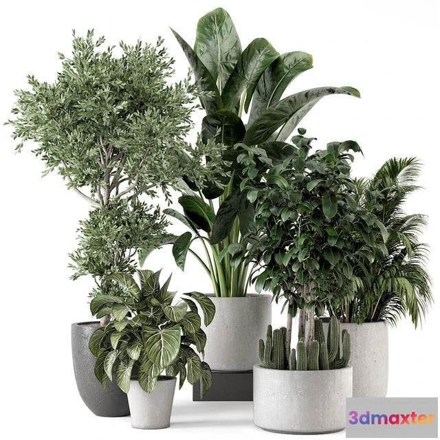 1553349 - Indoor Plants in rusty Concrete Pot - Set 584 3D Max