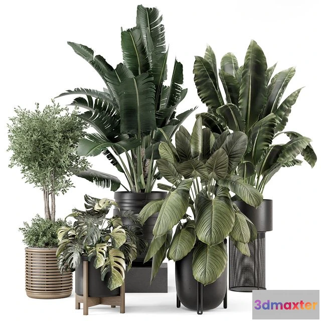 1554221 - Indoor Plants in Ferm Living Bau Pot Large - Set 1665 3D Max