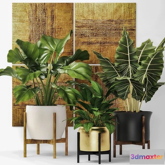 1557465 - Collection of plants in pots 7 3D Max