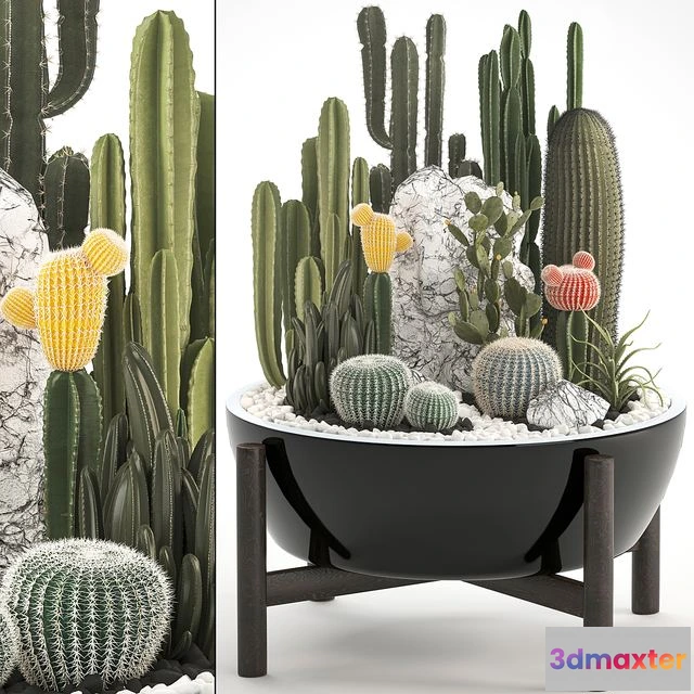 1557663 - Plant collection 305 3D Max