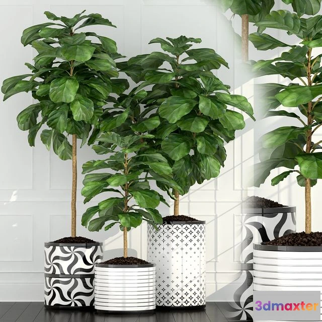 1557667 - Plants collection 63 3D Max