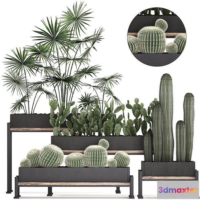 1558137 - Collection of small plants Set 462 3D Max