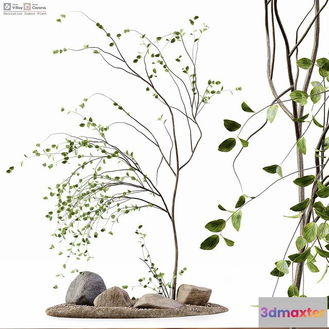 1558321 - Decoration Indoor Plant 3D Max