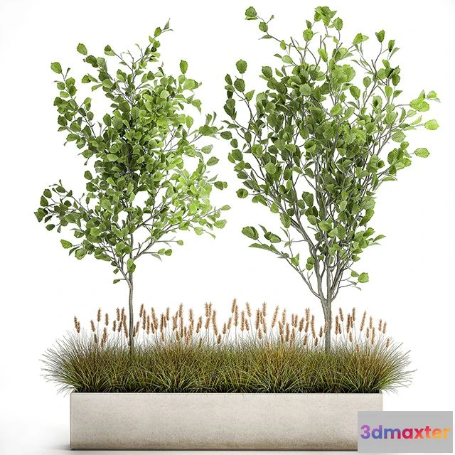 1558607 - Plant collection 1066 3D Max