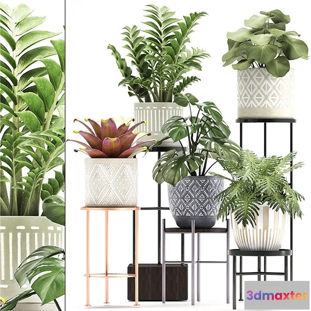 1559251 - Collection of plants 333 3D Max