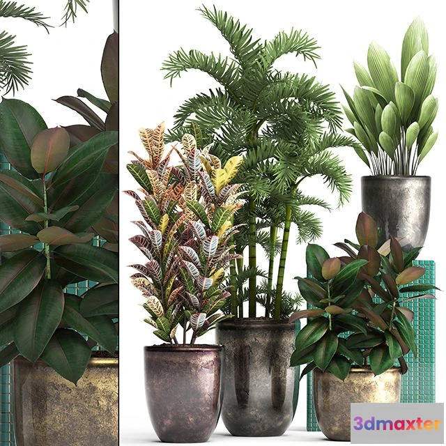 1559719 - Plant collection 353 3D Max