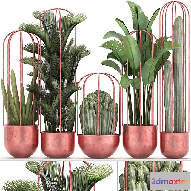 1560484 - Collection of plants 326 3D Max