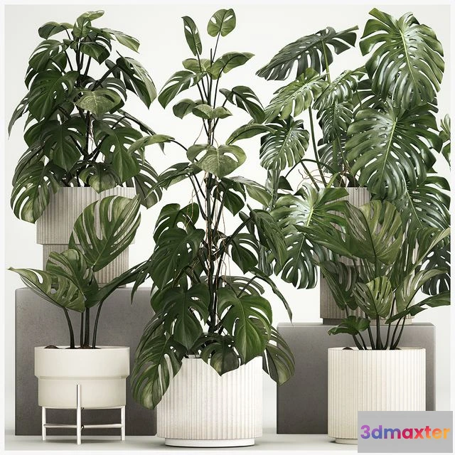 1560731 - Plant collection 1213 3D Max