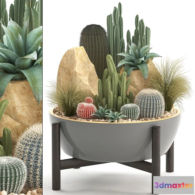 1560733 - Plant collection 306 3D Max