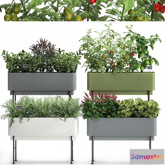 1561228 - Collection of potted plants Kitchen garden Set 1059 3D Max