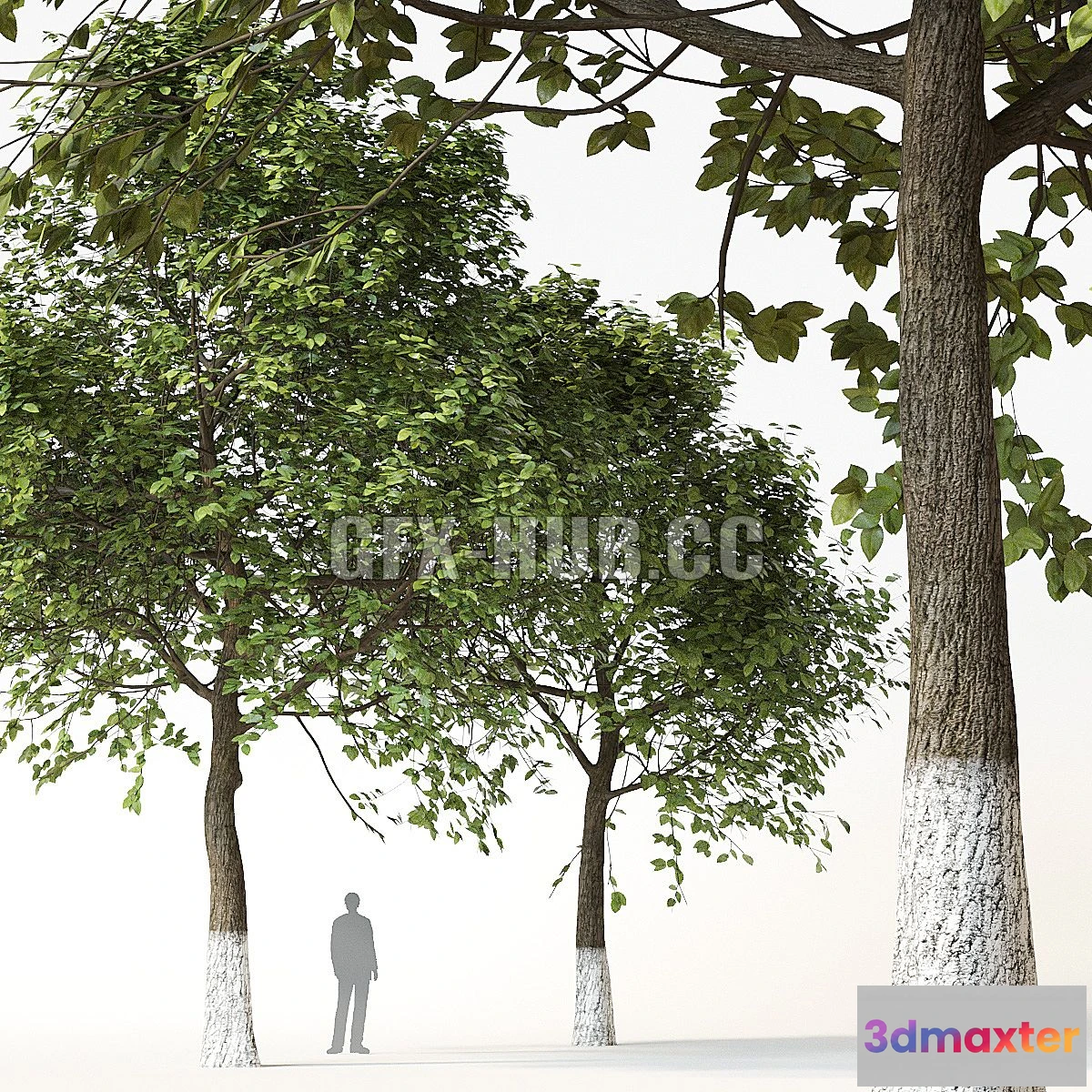 1561844 - Trees 2 3D Max