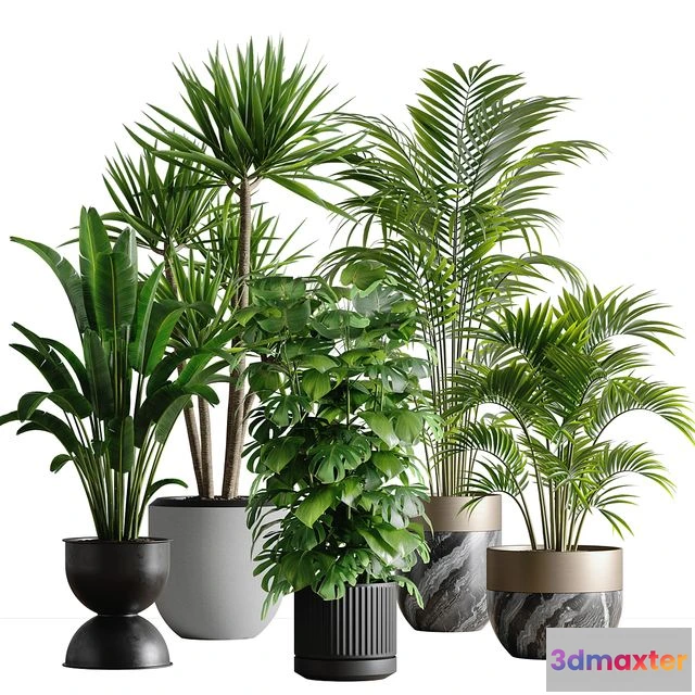 1562133 - indoor plant set 53 3D Max