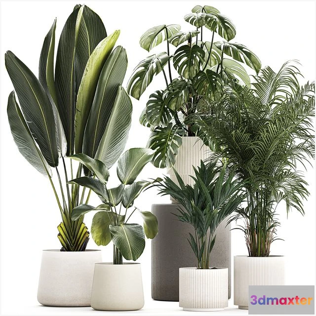 1562439 - Plant collection 1320 3D Max
