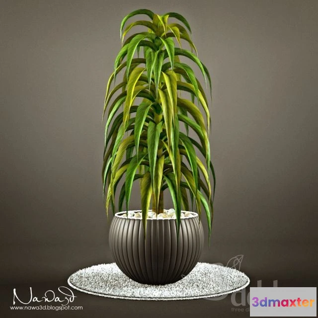 1562480 - Pot Plant 1 3D Max