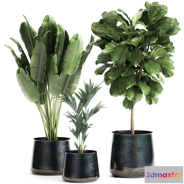 1562899 - Collection of plants in stylish pots Set 873 3D Max