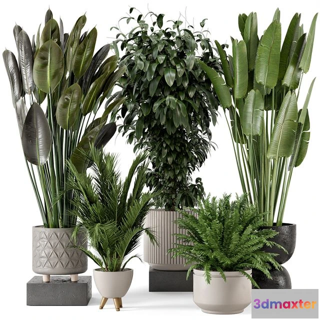 1563257 - Indoor Plants in Rusty Concrete Pot Set 542 3D Max