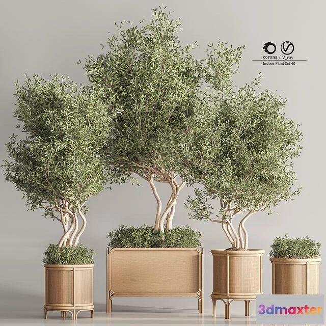1563878 - Indoor Plant Set 45 3D Max