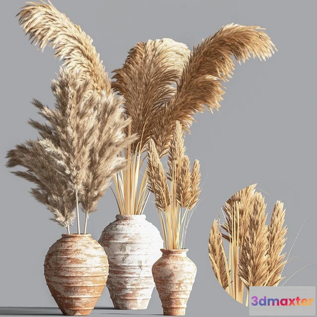 1563880 - Indoor Plant Set10 3D Max