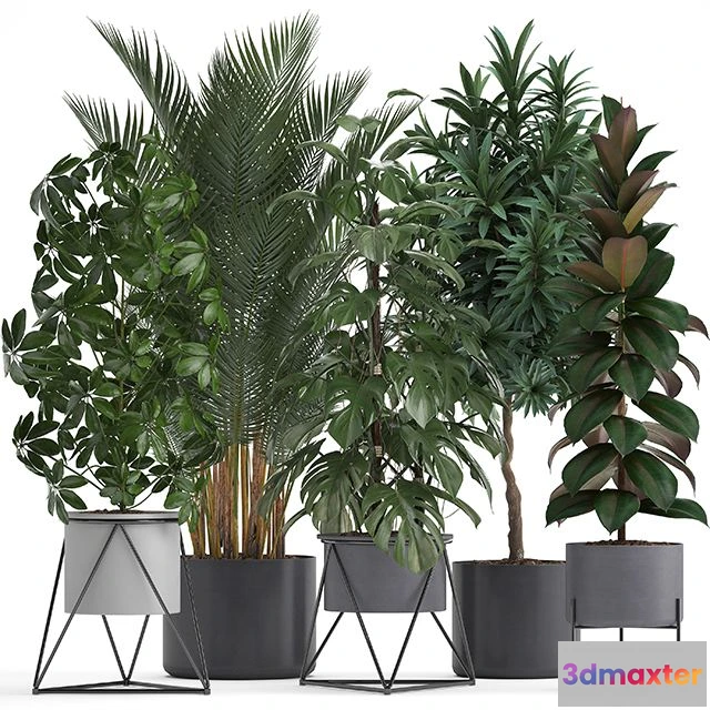 1564207 - Plant collection 284 3D Max