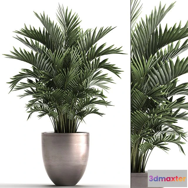 1564209 - Plant collection 295 3D Max