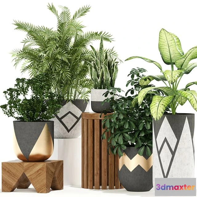 1564211 - Plants collection 109 3D Max