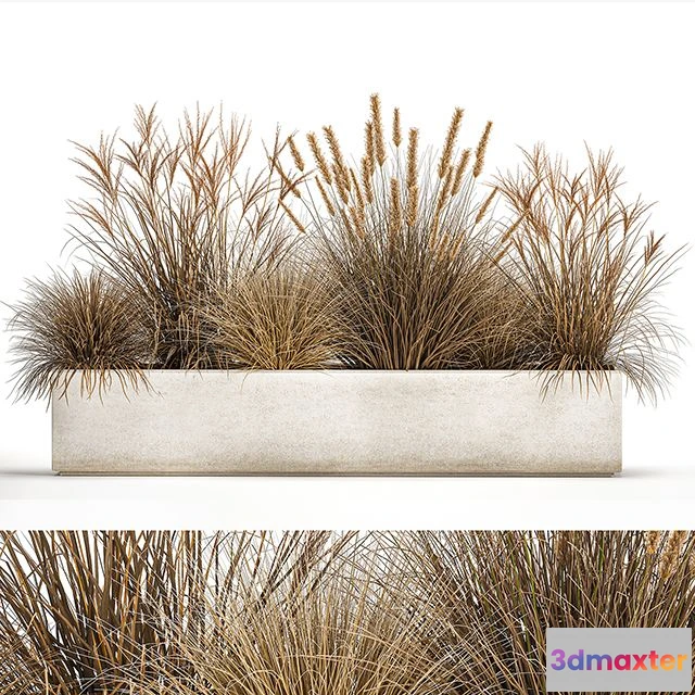 1564736 - Plant collection 1072 3D Max