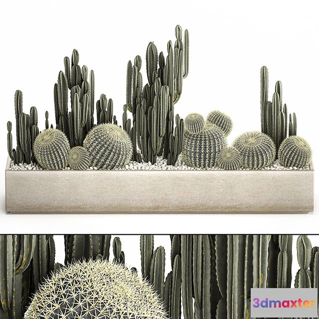 1564738 - Plant collection 1097 3D Max