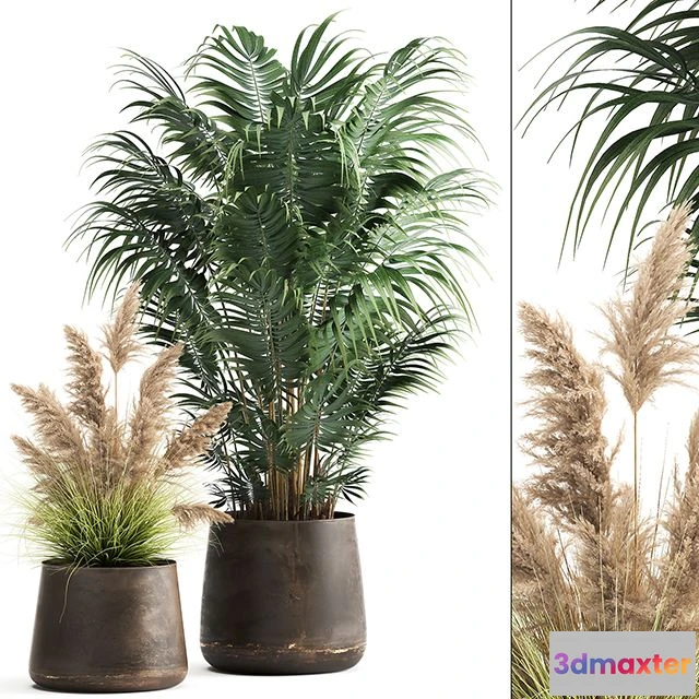 1564742 - Plant collection 973 3D Max