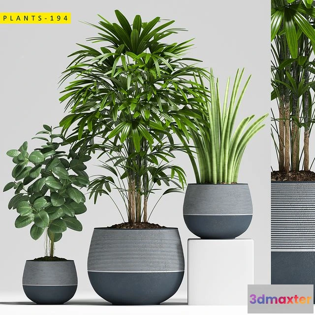 1564752 - Plants 194 3D Max