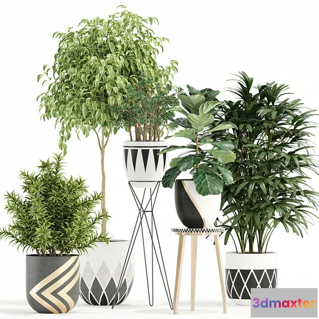 1564754 - Plants collection 112 3D Max