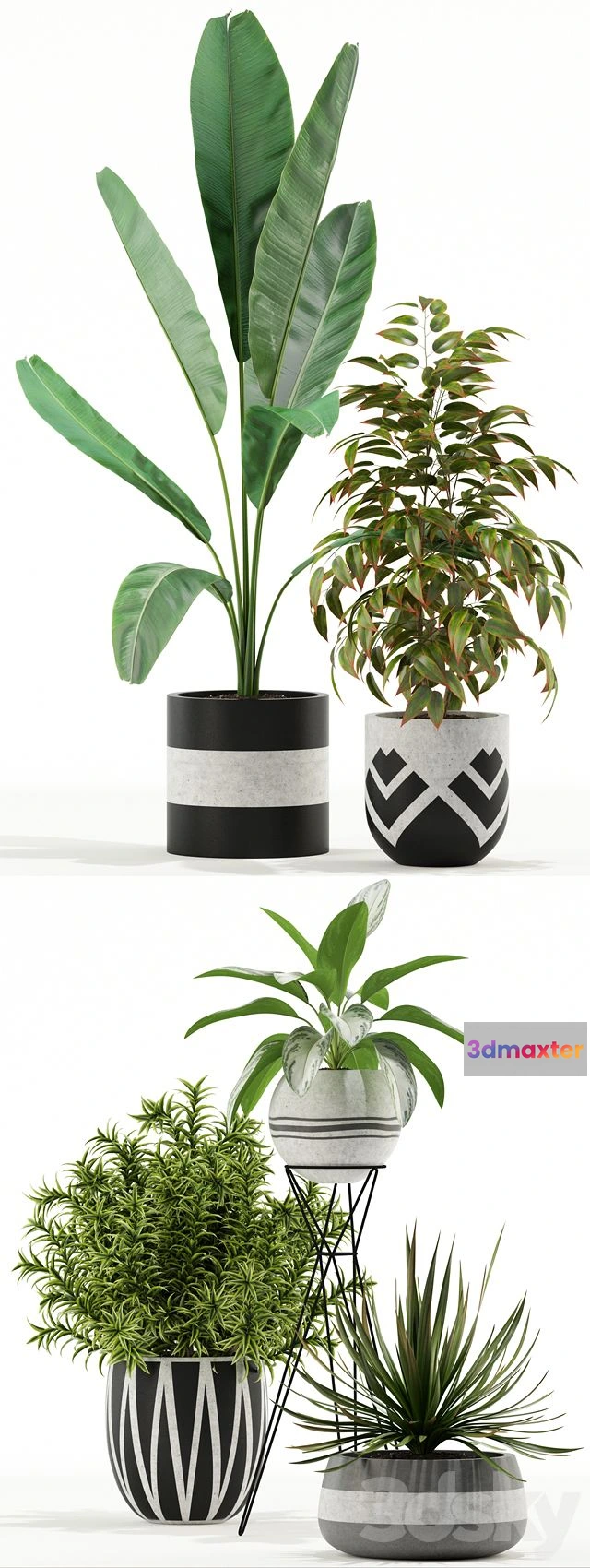 1564756 - Plants Collection 114 3D Max