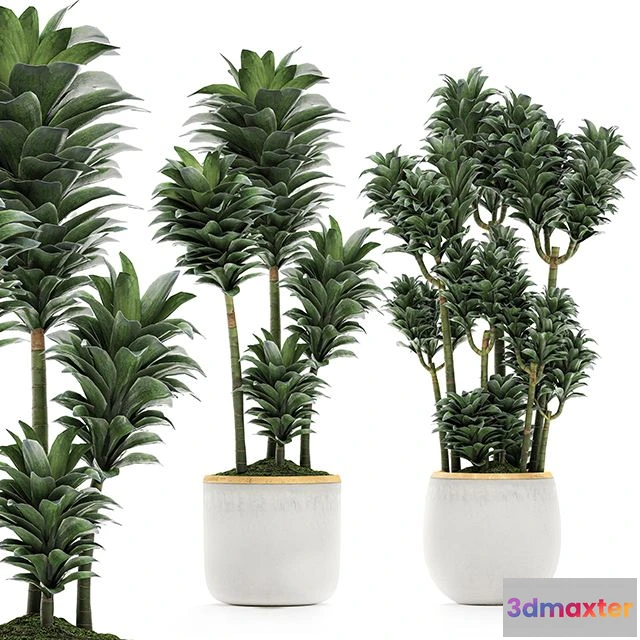 1565262 - A beautiful small decorative flower Set 533 3D Max