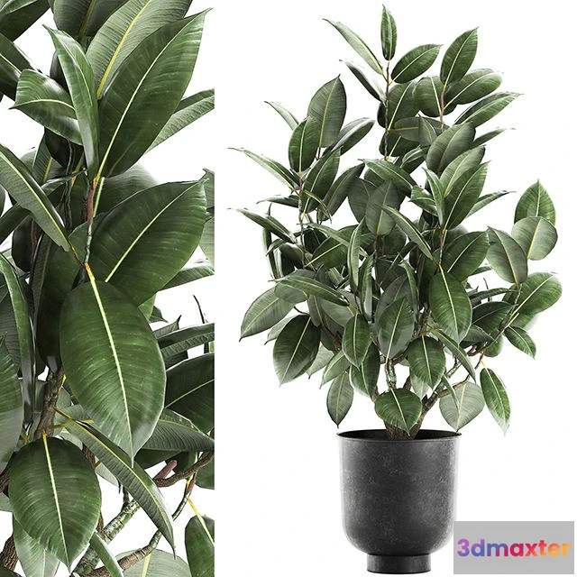 1565392 - Decorative lush small tree 852 3D Max