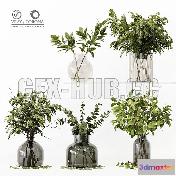 1565674 - Collection Indoor Plants 020 3D Max