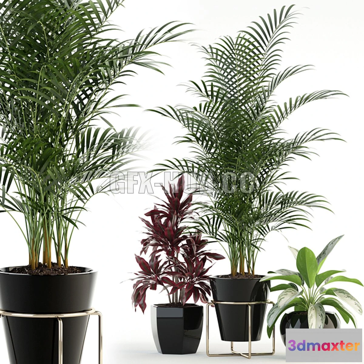 1565830 - Plants collection 89 3D Max