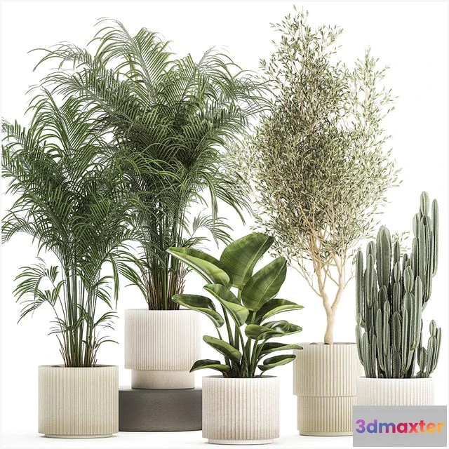 1567462 - Collection of plants Set 1368 3D Max