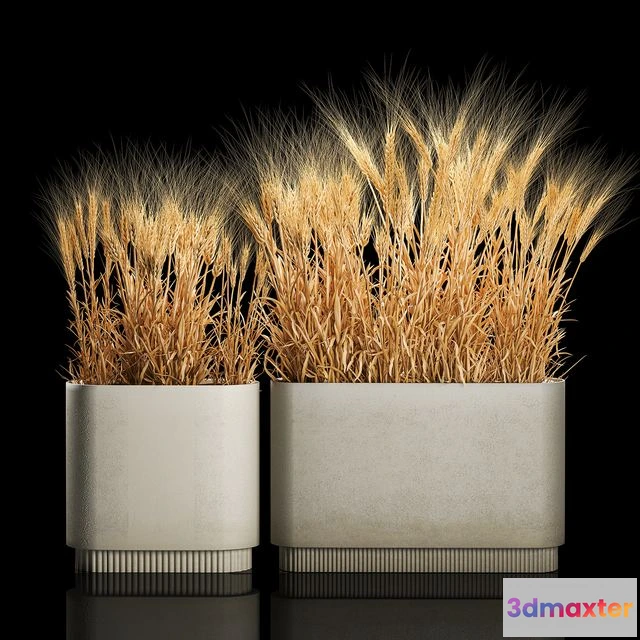 1567720 - Plant collection 1204 3D Max